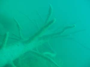 Antauchen_Urisee_07-04-2#6D