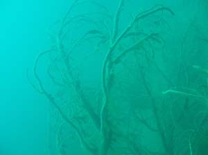 Antauchen_Urisee_07-04-2#7B
