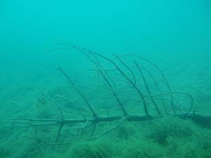 Antauchen_Urisee_07-04-2#7D