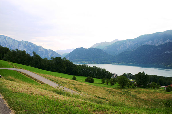 %_tempFileNameIMG_3600%