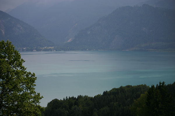 %_tempFileNameIMG_3617%