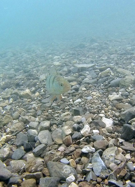 %_tempFileNameGOPR1421%