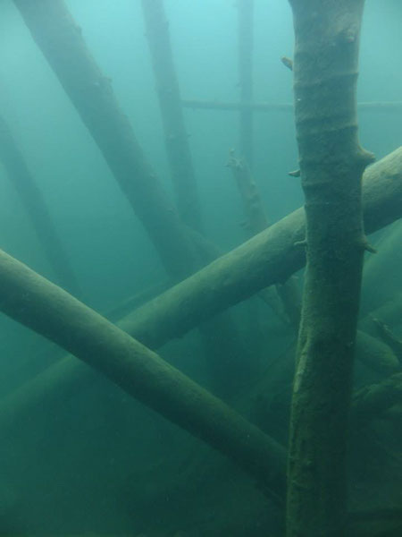 %_tempFileName1013554_538972099496999_1430276422_n%