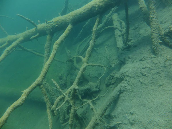 %_tempFileName1016721_538972709496938_1272302659_n%