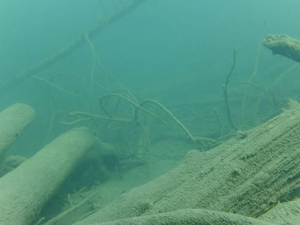 %_tempFileName64905_538970519497157_110311507_n%