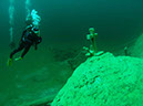 2011_Fernstein_kl_064