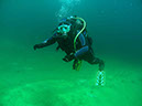 2011_Fernstein_kl_070