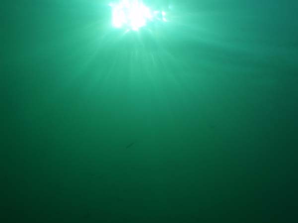 P9130018