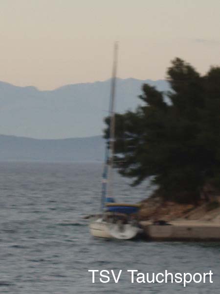 Bild 081