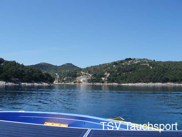 P5030009