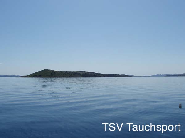 P5030010