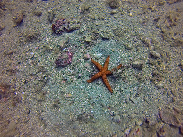 %_tempFileName2016_TSV_TauGa_008%