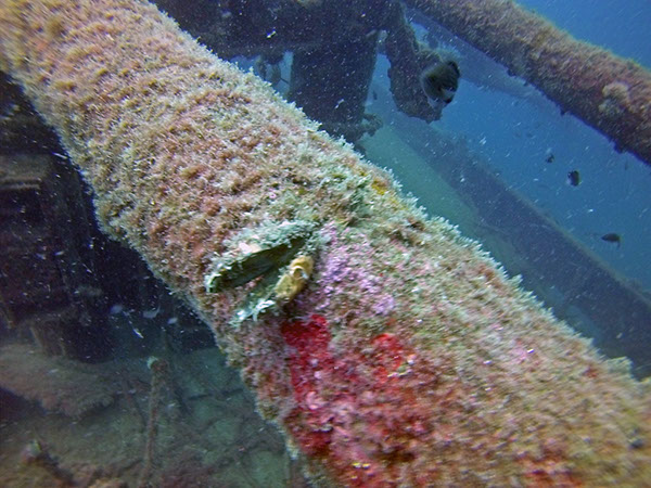 %_tempFileName2016_TSV_TauGa_021%