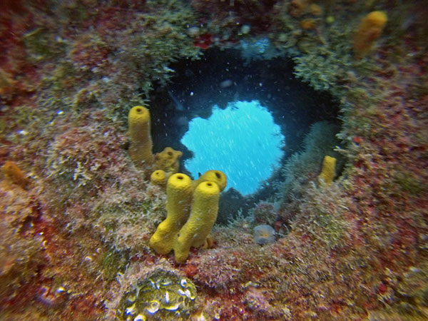 %_tempFileName2016_TSV_TauGa_038%