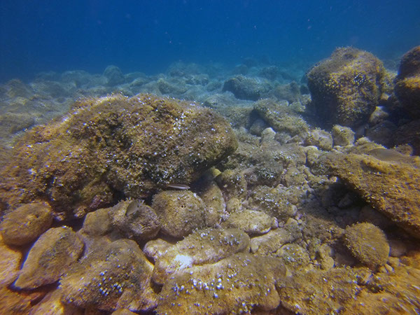 %_tempFileName2016_TSV_TauGa_048%