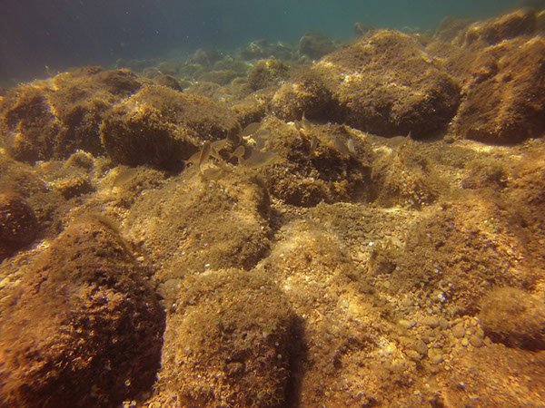 %_tempFileName2016_TSV_TauGa_064%