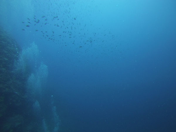 %_tempFileName2016_TSV_TauGa_079%