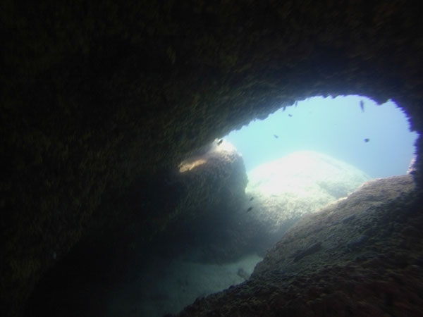 %_tempFileName2016_TSV_TauGa_117%