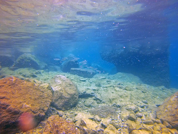 %_tempFileName2016_aTSV_August_054%