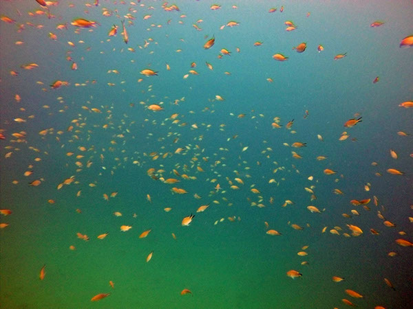 %_tempFileName2016_aTSV_August_057%