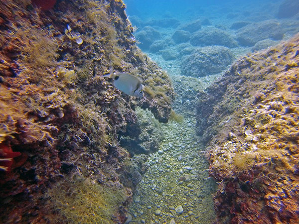 %_tempFileName2016_aTSV_August_061%