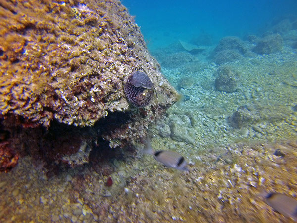 %_tempFileName2016_aTSV_August_062%