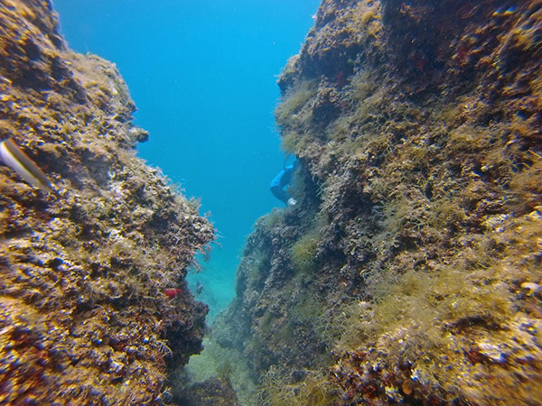 %_tempFileName2016_aTSV_August_063%