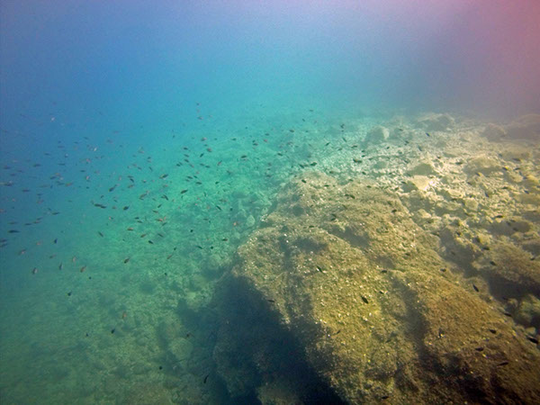 %_tempFileName2016_aTSV_August_068%