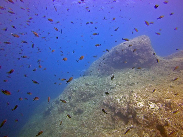 %_tempFileName2016_aTSV_August_069%