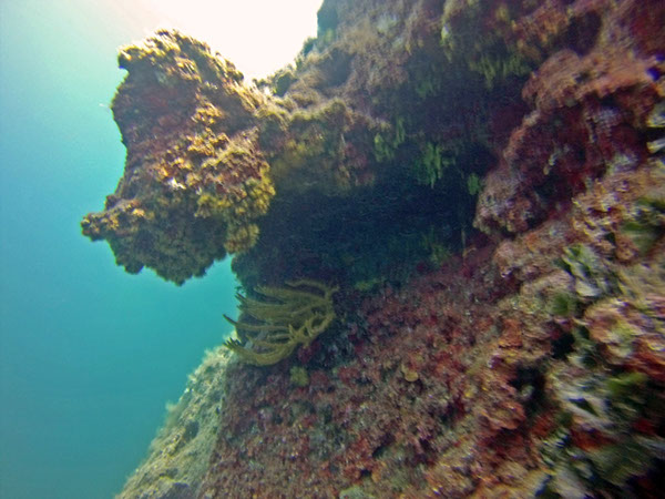 %_tempFileName2016_aTSV_August_072%