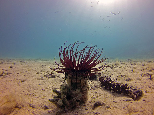 %_tempFileName2016_aTSV_August_076%