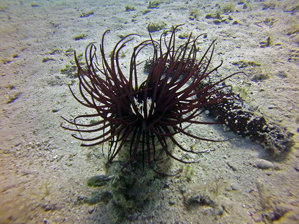 %_tempFileName2016_aTSV_August_077%