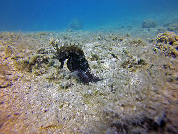 %_tempFileName2016_aTSV_August_080%