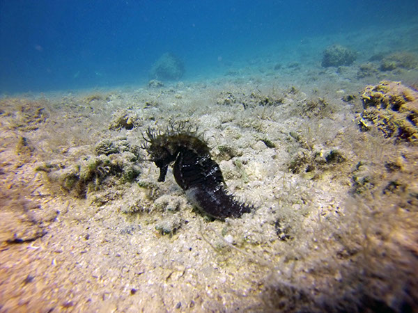 %_tempFileName2016_aTSV_August_081%