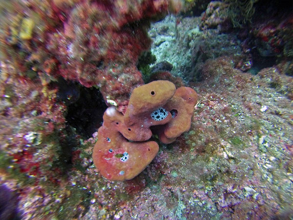 %_tempFileName2016_aTSV_August_082%