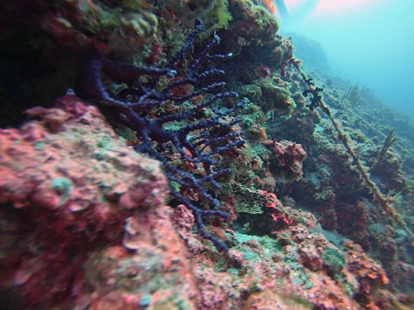 %_tempFileName2016_aTSV_August_084%