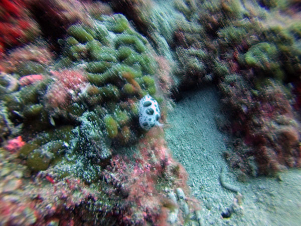 %_tempFileName2016_aTSV_August_086%