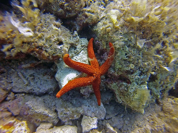 %_tempFileName2016_aTSV_August_088%