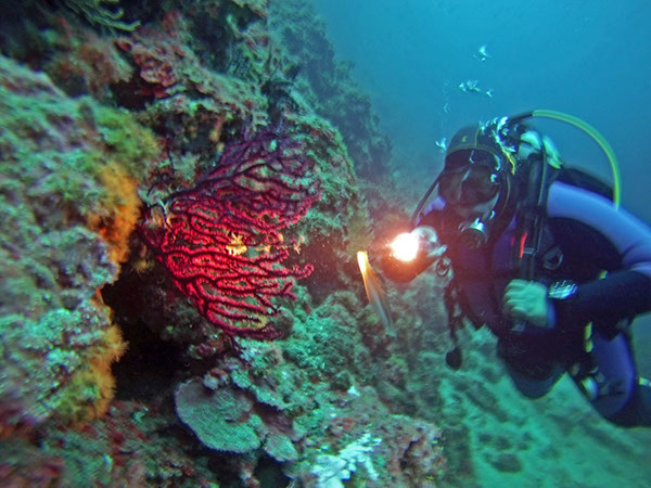 %_tempFileName2016_aTSV_August_093%