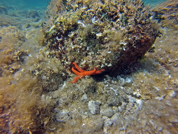 %_tempFileName2016_aTSV_August_096%