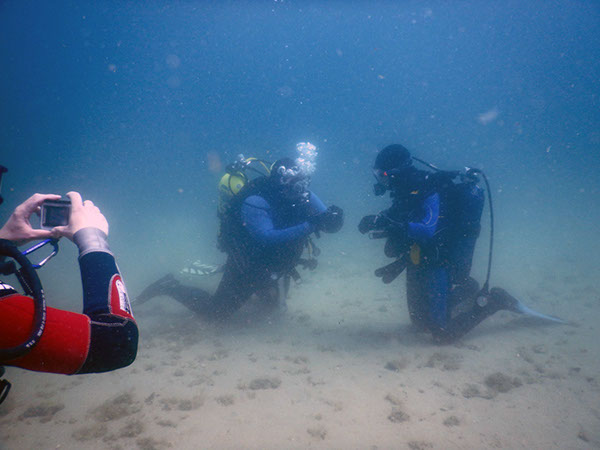 %_tempFileName2017_aTSV_AW_Punat_0001%