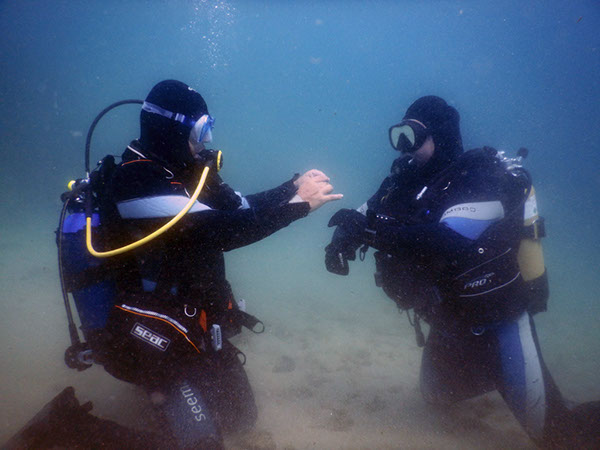 %_tempFileName2017_aTSV_AW_Punat_0007%