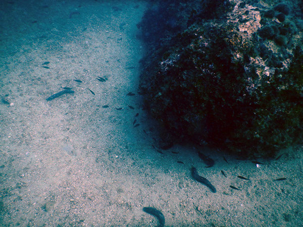 %_tempFileName2017_aTSV_AW_Punat_0015%