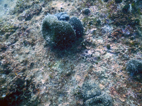 %_tempFileName2017_aTSV_AW_Punat_0020%