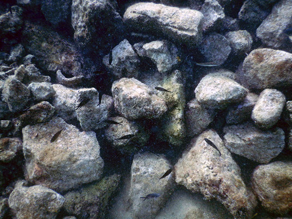 %_tempFileName2017_aTSV_AW_Punat_0022%