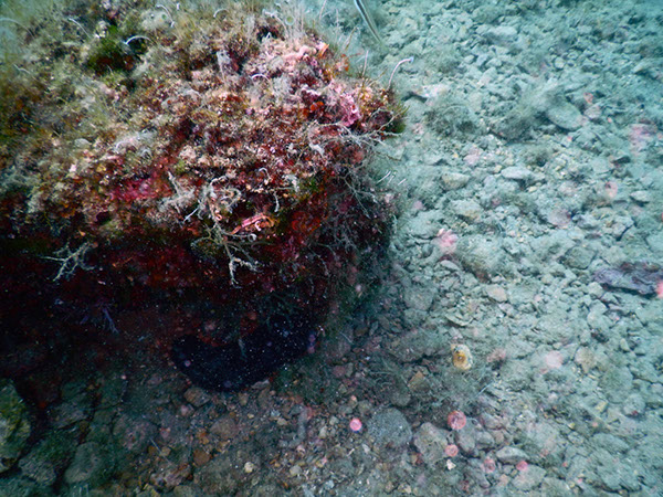 %_tempFileName2017_aTSV_AW_Punat_0024%