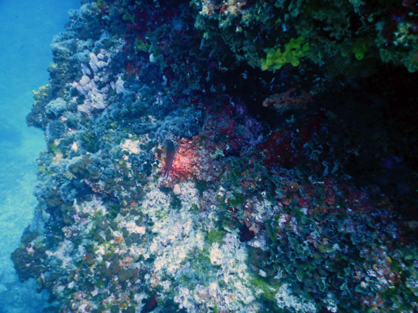 %_tempFileName2017_aTSV_AW_Punat_0036%