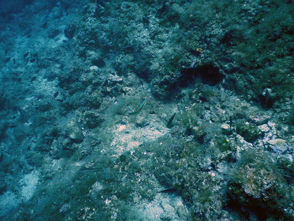 %_tempFileName2017_aTSV_AW_Punat_0039%