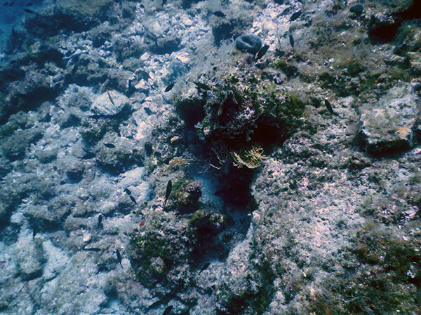 %_tempFileName2017_aTSV_AW_Punat_0041%