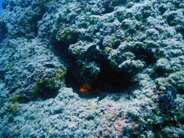 %_tempFileName2017_aTSV_AW_Punat_0044%